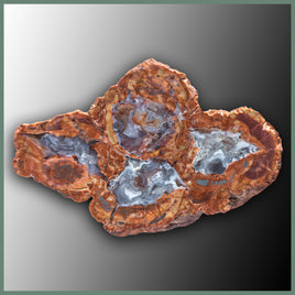 CMT152 Cold Mountain Thunderegg Specimen