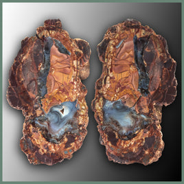 CMT156pr Cold Mountain Thunderegg Specimen Pair