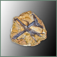 CMT161pr Cold Mountain Thunderegg Specimen Pair