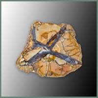CMT161pr Cold Mountain Thunderegg Specimen Pair