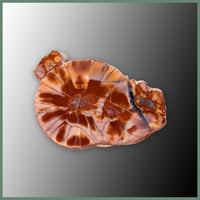 CMT162pr Cold Mountain Thunderegg Specimen Pair