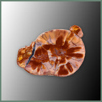 CMT162pr Cold Mountain Thunderegg Specimen Pair