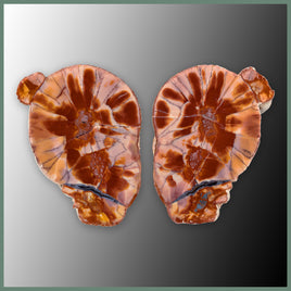 CMT162pr Cold Mountain Thunderegg Specimen Pair