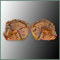 CMT163pr Cold Mountain Thunderegg Specimen Pair
