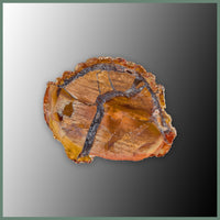 CMT163pr Cold Mountain Thunderegg Specimen Pair
