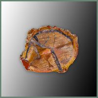 CMT163pr Cold Mountain Thunderegg Specimen Pair