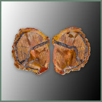 CMT163pr Cold Mountain Thunderegg Specimen Pair
