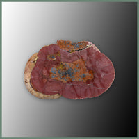 CMT165pr Cold Mountain Thunderegg Specimen Pair