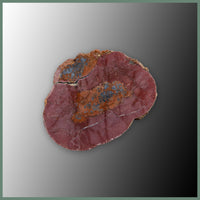 CMT165pr Cold Mountain Thunderegg Specimen Pair