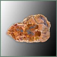 CMT166pr Cold Mountain Thunderegg Specimen Pair