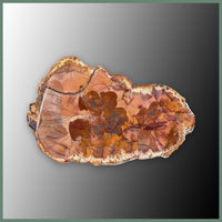 CMT166pr Cold Mountain Thunderegg Specimen Pair
