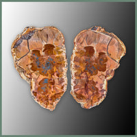 CMT166pr Cold Mountain Thunderegg Specimen Pair