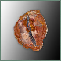 CMT167pr Cold Mountain Thunderegg Specimen Pair