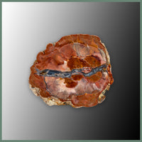 CMT167pr Cold Mountain Thunderegg Specimen Pair