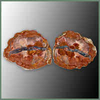 CMT167pr Cold Mountain Thunderegg Specimen Pair