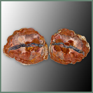 CMT167pr Cold Mountain Thunderegg Specimen Pair