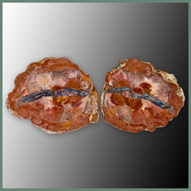 CMT167pr Cold Mountain Thunderegg Specimen Pair