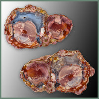 CMT168pr Cold Mountain Thunderegg Specimen Pair