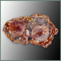 CMT168pr Cold Mountain Thunderegg Specimen Pair