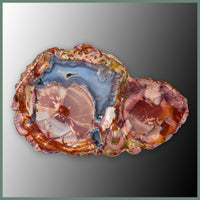 CMT168pr Cold Mountain Thunderegg Specimen Pair