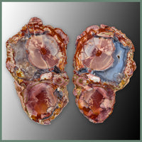 CMT168pr Cold Mountain Thunderegg Specimen Pair