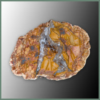 CMT169pr Cold Mountain Thunderegg Specimen Pair