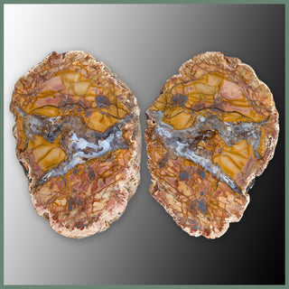 CMT169pr Cold Mountain Thunderegg Specimen Pair