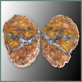 CMT169pr Cold Mountain Thunderegg Specimen Pair
