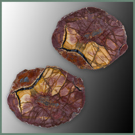 CMT170pr Cold Mountain Thunderegg Specimen Pair