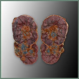 CMT171pr Cold Mountain Thunderegg Specimen Pair