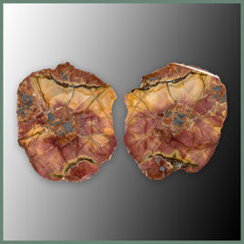 CMT172pr Cold Mountain Thunderegg Specimen Pair