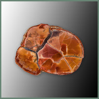 CMT174pr Cold Mountain Thunderegg Specimen Pair