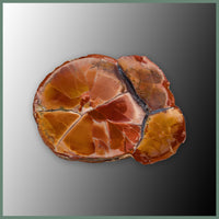 CMT174pr Cold Mountain Thunderegg Specimen Pair