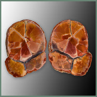 CMT174pr Cold Mountain Thunderegg Specimen Pair