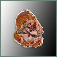 CMT175pr Cold Mountain Thunderegg Specimen Pair
