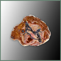 CMT175pr Cold Mountain Thunderegg Specimen Pair