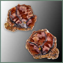CMT176pr Cold Mountain Thunderegg Specimen Pair