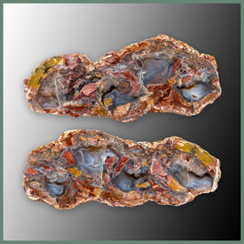 CMT177pr Cold Mountain Thunderegg Specimen Pair