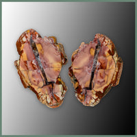 CMT178pr Cold Mountain Thunderegg Specimen Pair