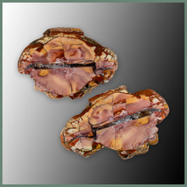 CMT178pr Cold Mountain Thunderegg Specimen Pair