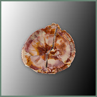 CMT179pr Cold Mountain Thunderegg Specimen Pair