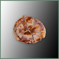 CMT179pr Cold Mountain Thunderegg Specimen Pair