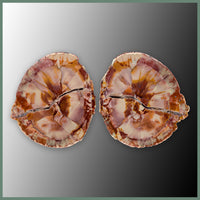 CMT179pr Cold Mountain Thunderegg Specimen Pair