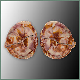 CMT179pr Cold Mountain Thunderegg Specimen Pair