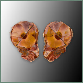 CMT180pr Cold Mountain Thunderegg Specimen Pair