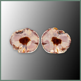 CMT181pr Cold Mountain Thunderegg Specimen Pair