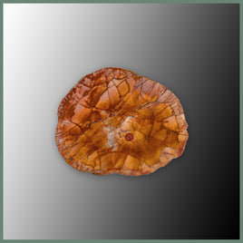 CMT183 Cold Mountain Thunderegg Specimen