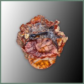 CMT184 Cold Mountain Thunderegg Specimen