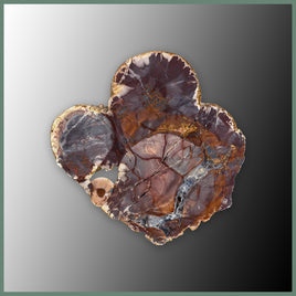 CMT186 Cold Mountain Thunderegg Specimen