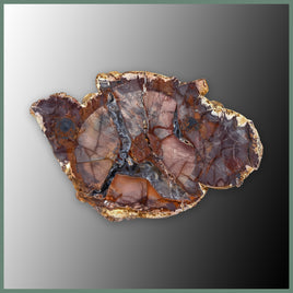CMT187 Cold Mountain Thunderegg Specimen